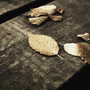 奶大陰户毛茸茸的
